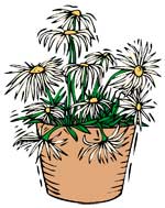 pianta sogno immagine, sogno di un giardiniere